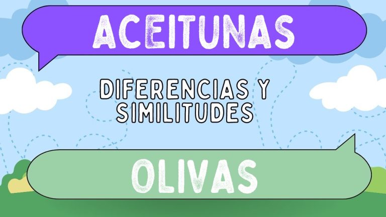 Diferencias Entre Aceitunas Y Olivas