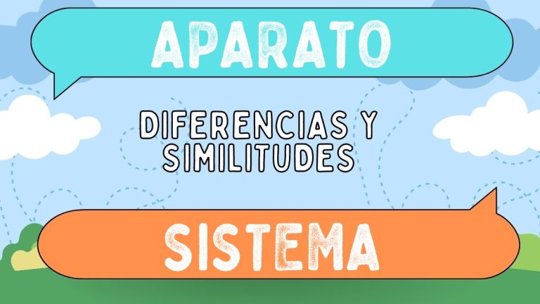 Diferencias Entre Aparato Y Sistema