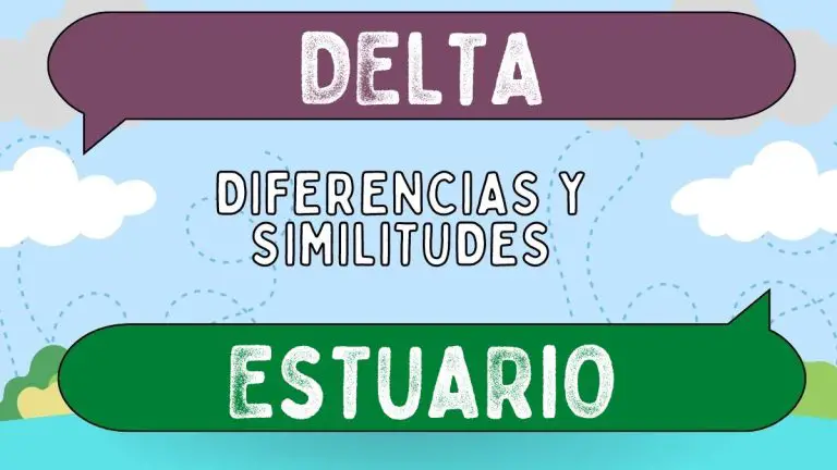 Diferencias Entre Delta Y Estuario