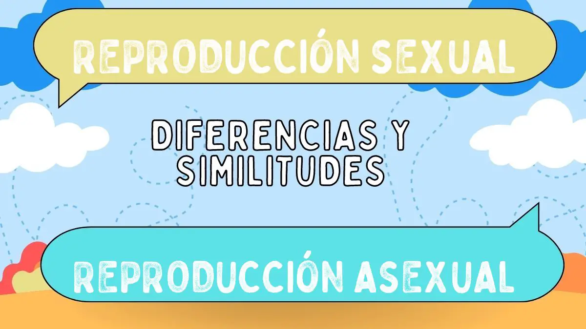 Diferencias Entre Reproducci N Sexual Y Reproducci N Asexual