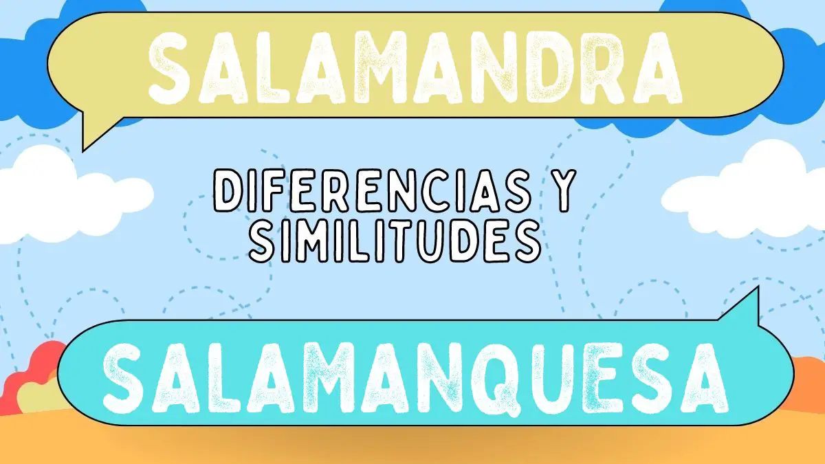 Diferencias Entre Salamandra Y Salamanquesa