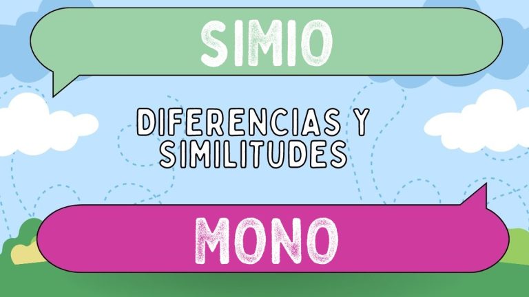 Diferencias Entre Simio Y Mono