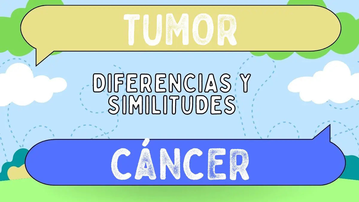 Diferencias Entre Tumor Y C Ncer