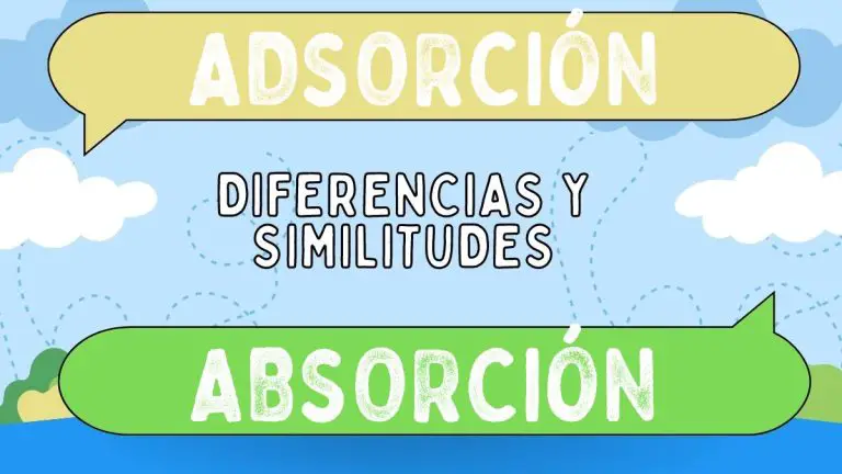 Diferencias entre adsorción y absorción