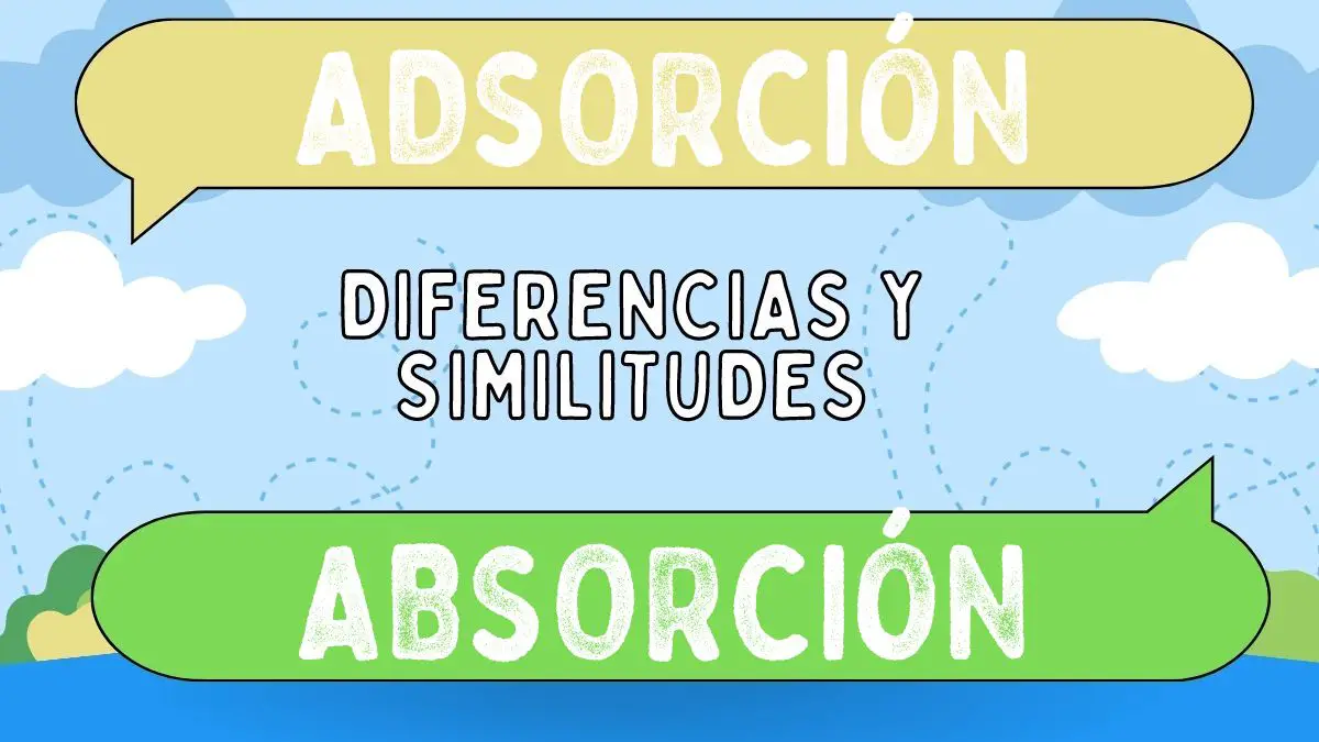 Diferencias Entre Adsorción Y Absorción