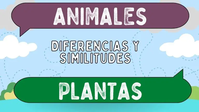 Diferencias Entre Animales Y Plantas