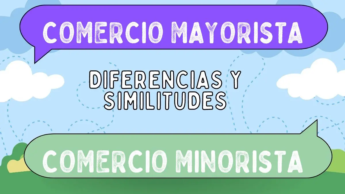 Diferencias Entre Comercio Mayorista Y Comercio Minorista 4720