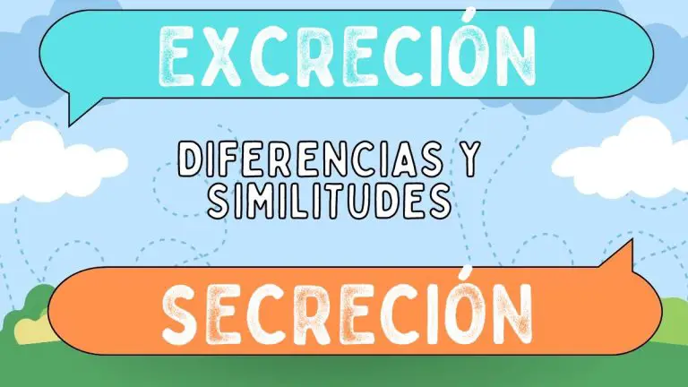 Diferencias entre excreción y secreción