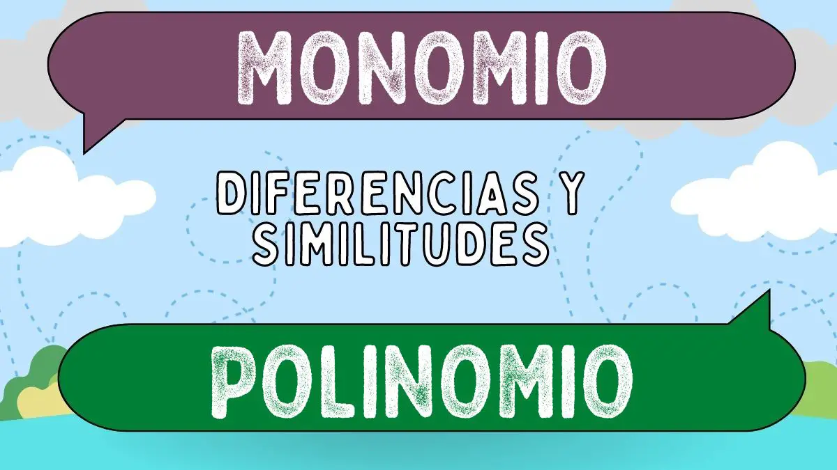 Diferencias Entre Monomio Y Polinomio