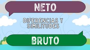 6 bruto v neto