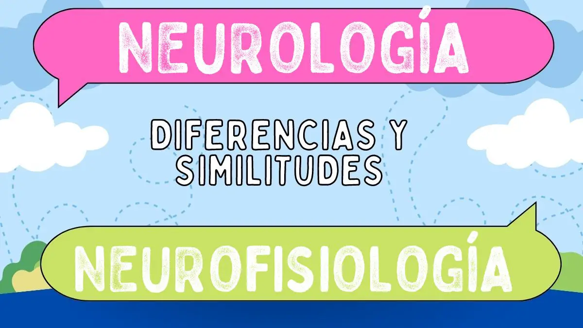 Diferencias Entre Neurología Y Neurofisiología