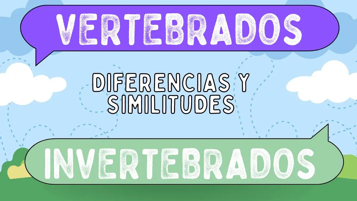 Diferencias Entre Vertebrados Y Invertebrados 2611